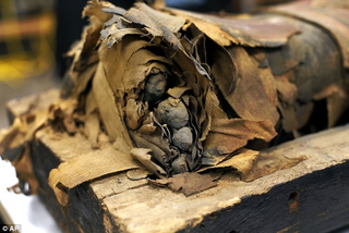 Illustration for article titled Check Out These Awesomely Gross Mummy Toes
